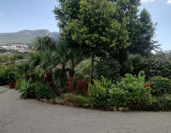 jardineros Mijas costa