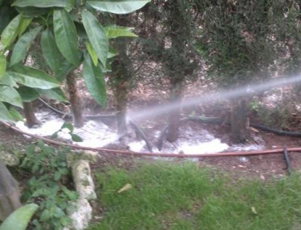 Empresas de Jardinería en Manilva